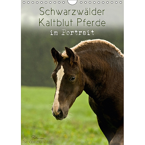 Schwarzwälder Kaltblut Pferde im Portrait (Wandkalender 2018 DIN A4 hoch), Simone Homberg