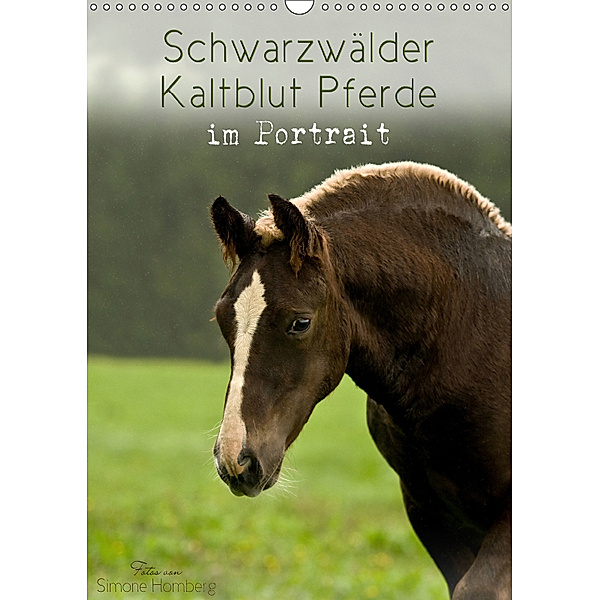 Schwarzwälder Kaltblut Pferde im Portrait (Wandkalender 2019 DIN A3 hoch), Simone Homberg