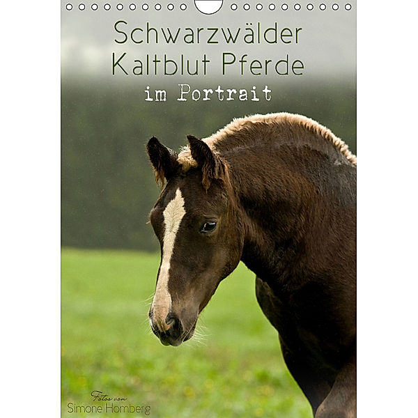 Schwarzwälder Kaltblut Pferde im Portrait (Wandkalender 2019 DIN A4 hoch), Simone Homberg