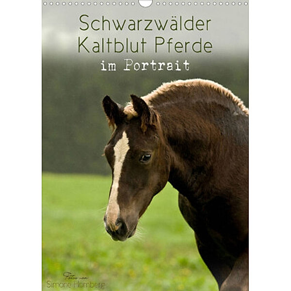 Schwarzwälder Kaltblut Pferde im Portrait (Wandkalender 2022 DIN A3 hoch), Simone Homberg