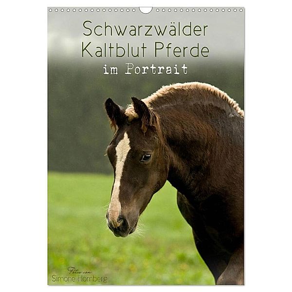 Schwarzwälder Kaltblut Pferde im Portrait (Wandkalender 2024 DIN A3 hoch), CALVENDO Monatskalender, Simone Homberg