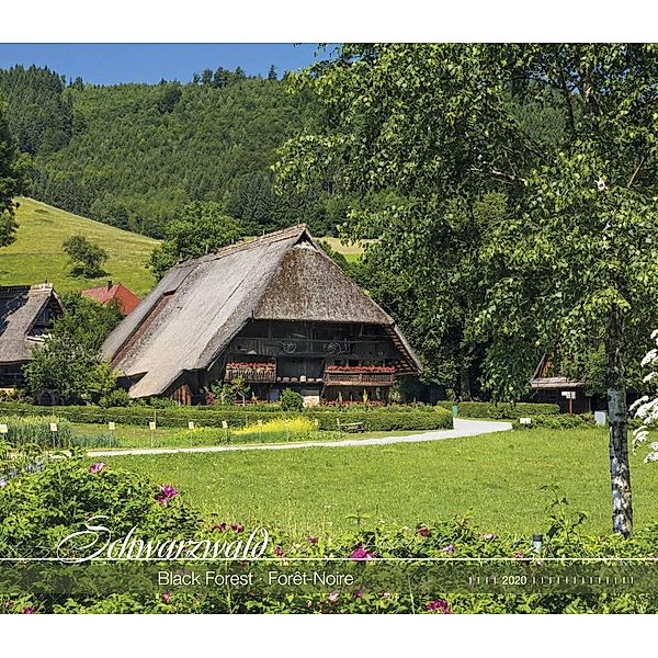 Schwarzwald 2020, ALPHA EDITION