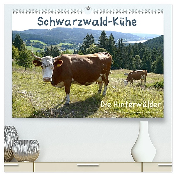 Schwarzwald-Kühe - Die Hinterwälder (hochwertiger Premium Wandkalender 2025 DIN A2 quer), Kunstdruck in Hochglanz, Calvendo, Biothemen, Stefanie Goldscheider