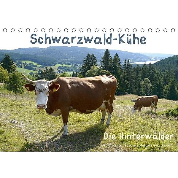 Schwarzwald-Kühe - Die Hinterwälder (Tischkalender 2017 DIN A5 quer), Stefanie Goldscheider, Biothemen