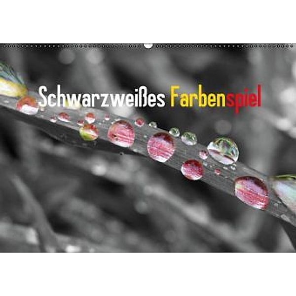 Schwarzweißes Farbenspiel 2016 / CH-Version (Wandkalender 2016 DIN A2 quer), Rolf Pötsch