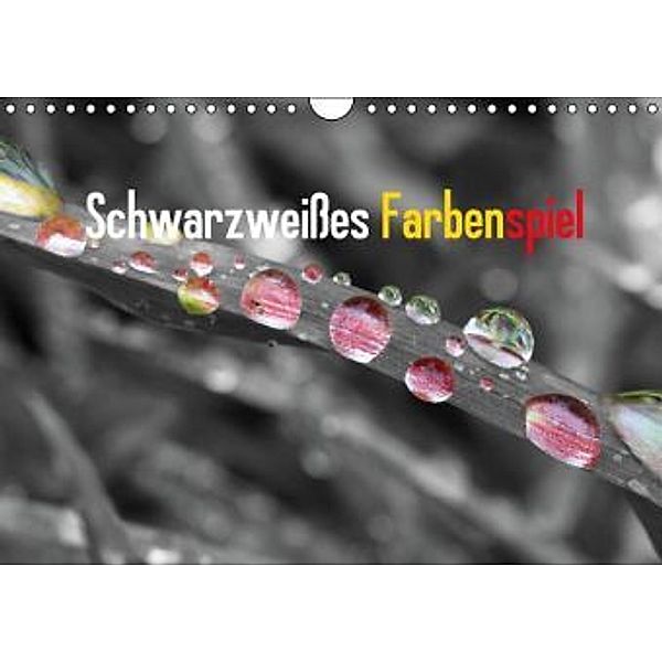 Schwarzweißes Farbenspiel 2016 / CH-Version (Wandkalender 2016 DIN A4 quer), Rolf Pötsch