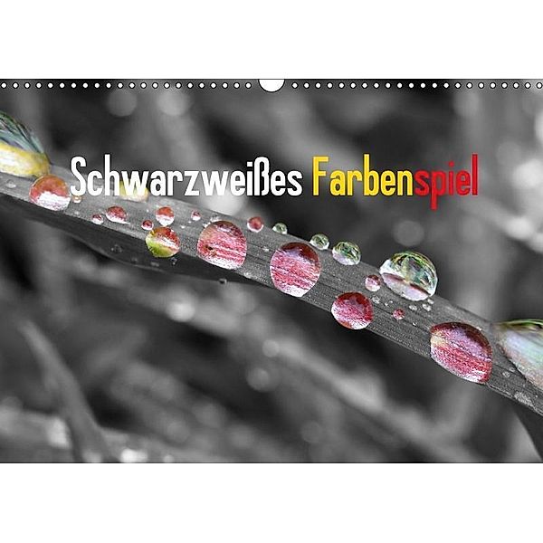 Schwarzweißes Farbenspiel 2017 / CH-Version (Wandkalender 2017 DIN A3 quer), Rolf Pötsch