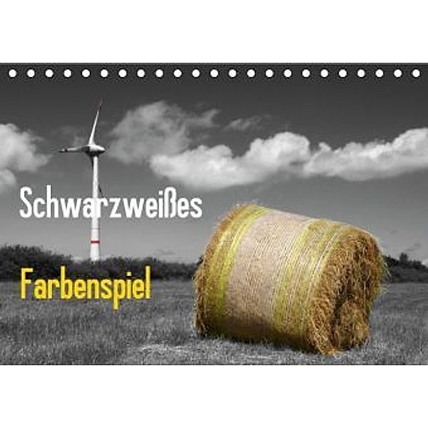 Schwarzweißes Farbenspiel / Geburtstagskalender (Tischkalender 2016 DIN A5 quer), Rolf Pötsch