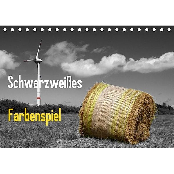 Schwarzweißes Farbenspiel / Geburtstagskalender (Tischkalender 2017 DIN A5 quer), rolf pötsch