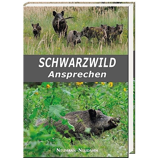 Schwarzwild Ansprechen