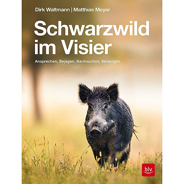 Schwarzwild im Visier, Dirk Waltmann, Matthias Meyer