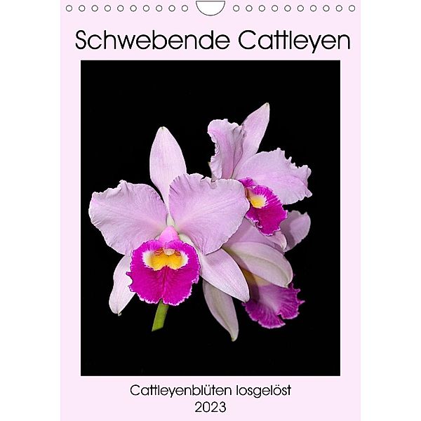 Schwebende Cattleyen (Wandkalender 2023 DIN A4 hoch), Clemens Stenner