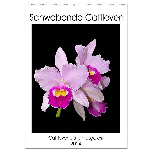 Schwebende Cattleyen (Wandkalender 2024 DIN A2 hoch), CALVENDO Monatskalender, Clemens Stenner