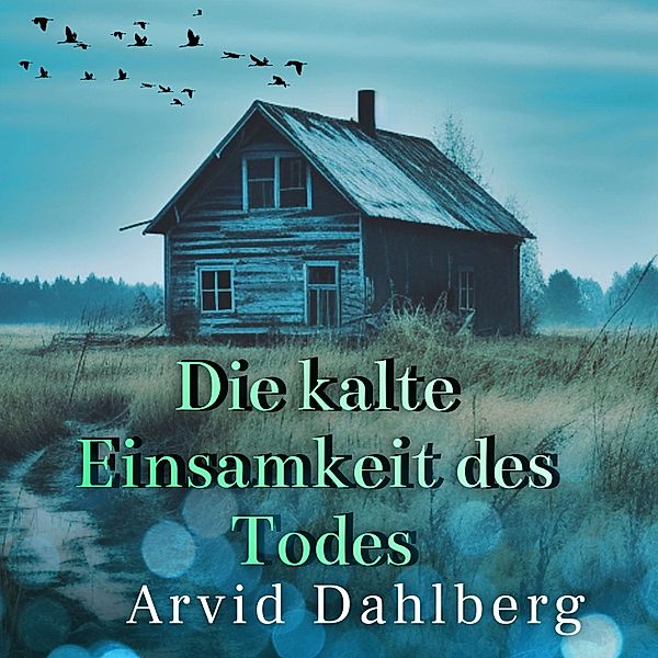 Schweden-Thriller Liv Modig - 4 - Die kalte Einsamkeit des Todes, Arvid Dahlberg