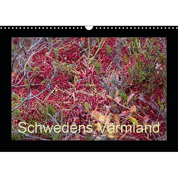 Schwedens Värmland (Wandkalender 2019 DIN A3 quer), Heyden Volkmann