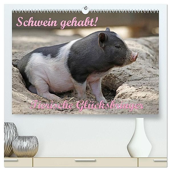Schwein gehabt! (hochwertiger Premium Wandkalender 2024 DIN A2 quer), Kunstdruck in Hochglanz, Antje Lindert-Rottke