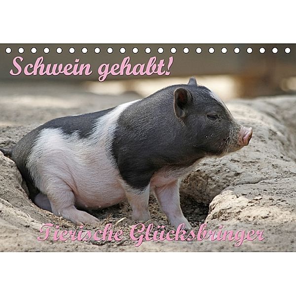 Schwein gehabt! (Tischkalender 2018 DIN A5 quer), Antje Lindert-Rottke