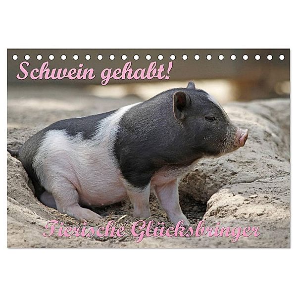 Schwein gehabt! (Tischkalender 2024 DIN A5 quer), CALVENDO Monatskalender, Antje Lindert-Rottke
