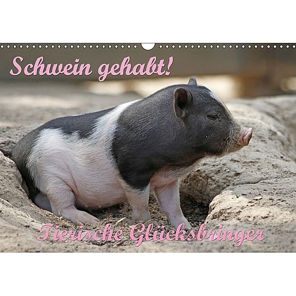 Schwein gehabt! (Wandkalender 2018 DIN A3 quer), Antje Lindert-Rottke