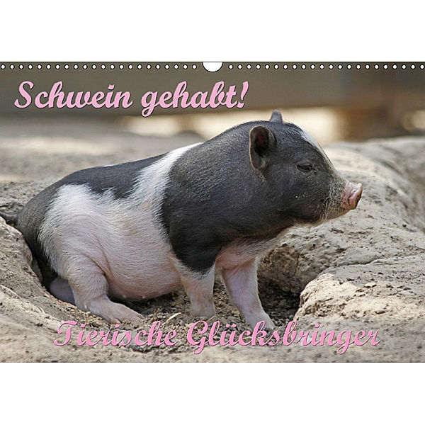 Schwein gehabt! (Wandkalender 2019 DIN A3 quer), Antje Lindert-Rottke