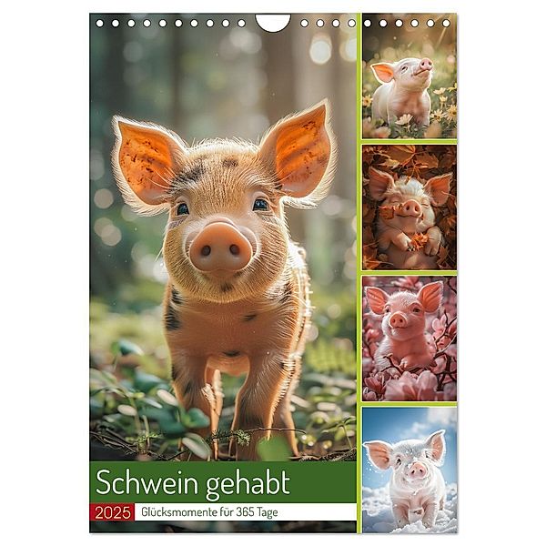 Schwein gehabt (Wandkalender 2025 DIN A4 hoch), CALVENDO Monatskalender, Calvendo, Steffen Gierok-Latniak
