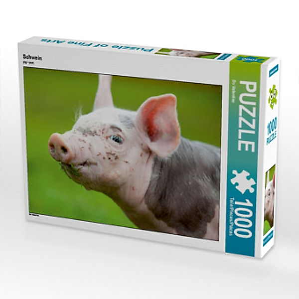 Schwein (Puzzle), Bo Valentino