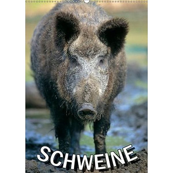 Schweine 2020 (Wandkalender 2020 DIN A2 hoch), N N