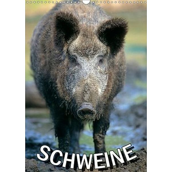 Schweine 2020 (Wandkalender 2020 DIN A3 hoch), N N