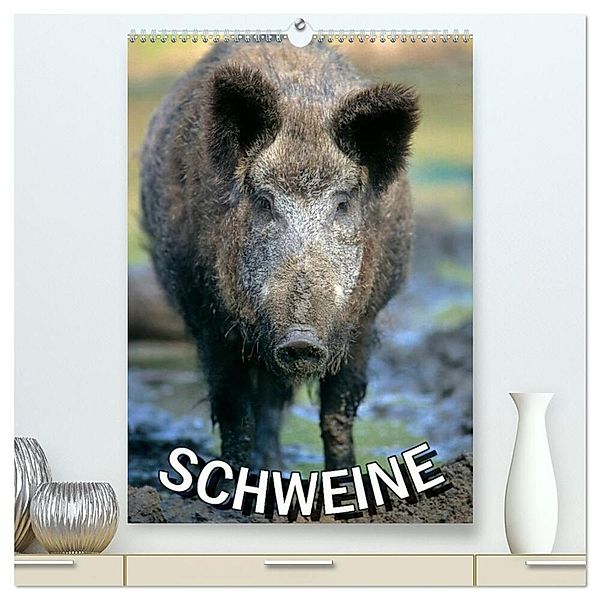 Schweine 2024 (hochwertiger Premium Wandkalender 2024 DIN A2 hoch), Kunstdruck in Hochglanz, Calvendo
