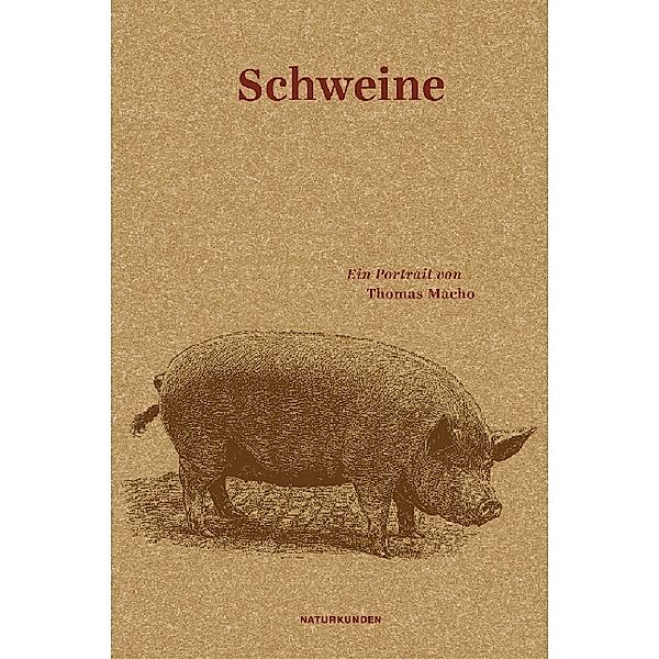 Schweine, Thomas Macho