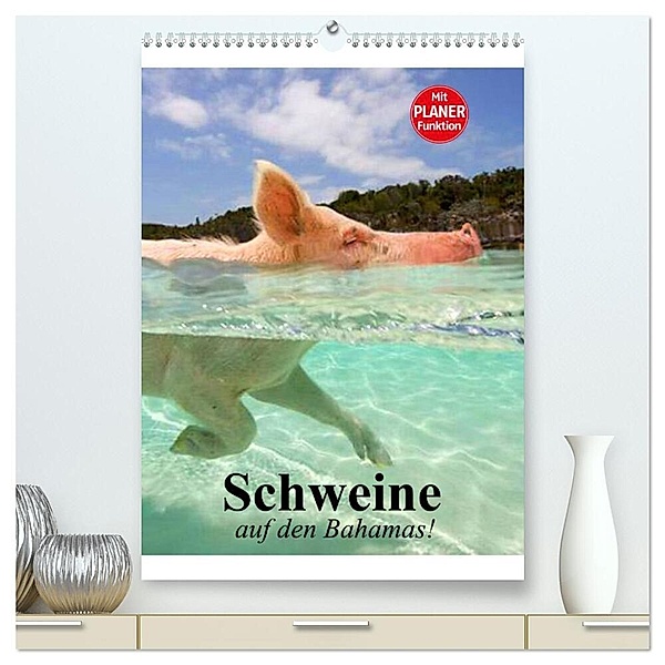 Schweine auf den Bahamas! (hochwertiger Premium Wandkalender 2024 DIN A2 hoch), Kunstdruck in Hochglanz, Elisabeth Stanzer