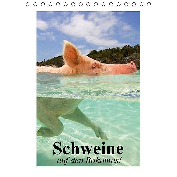 Schweine auf den Bahamas! (Tischkalender 2017 DIN A5 hoch), Elisabeth Stanzer