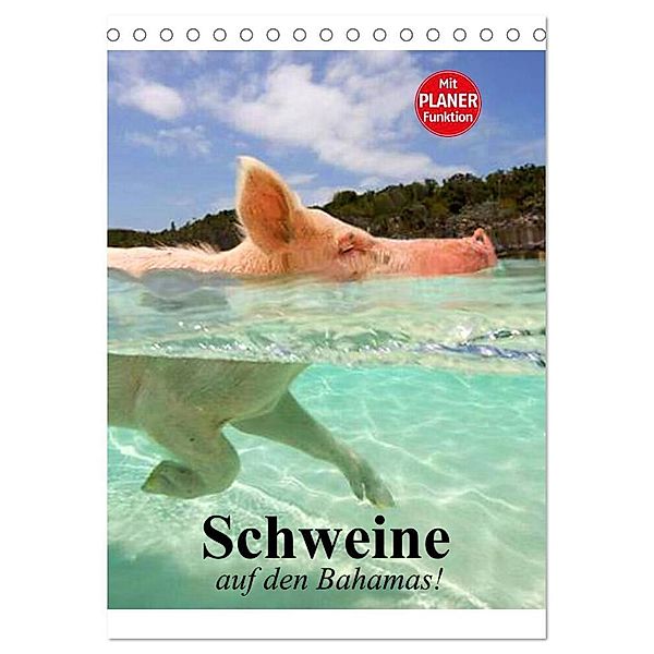 Schweine auf den Bahamas! (Tischkalender 2024 DIN A5 hoch), CALVENDO Monatskalender, Elisabeth Stanzer