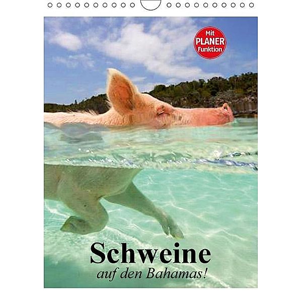 Schweine auf den Bahamas! (Wandkalender 2017 DIN A4 hoch), Elisabeth Stanzer