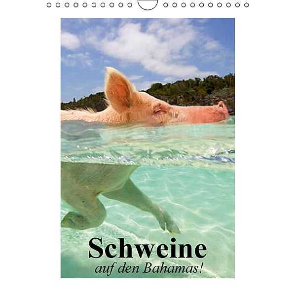 Schweine auf den Bahamas! (Wandkalender 2018 DIN A4 hoch), Elisabeth Stanzer