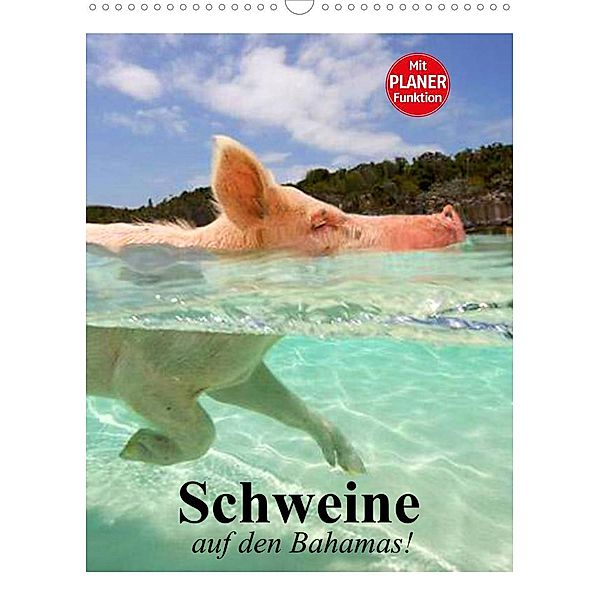 Schweine auf den Bahamas! (Wandkalender 2023 DIN A3 hoch), Elisabeth Stanzer