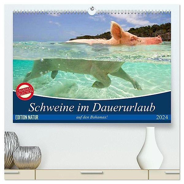 Schweine im Dauerurlaub auf den Bahamas! (hochwertiger Premium Wandkalender 2024 DIN A2 quer), Kunstdruck in Hochglanz, Elisabeth Stanzer