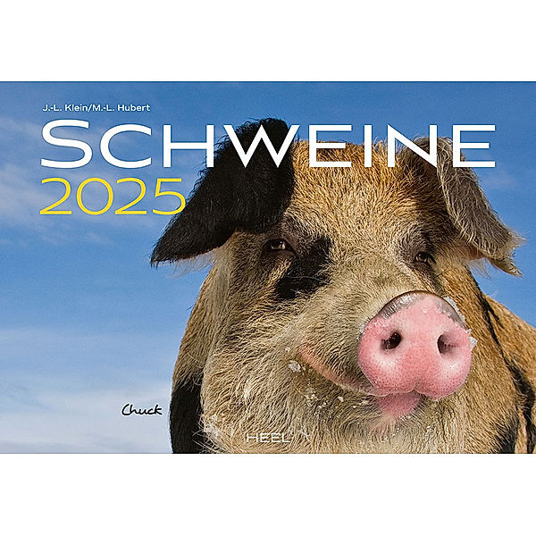 Schweine Kalender 2025, J.-L. Klein, M.-L. Hubert