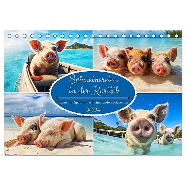 Schweinereien in der Karibik. Sonne und Spass mit schwimmenden Schweinen (Tischkalender 2024 DIN A5 quer), CALVENDO Monatskalender, Calvendo, Rose Hurley