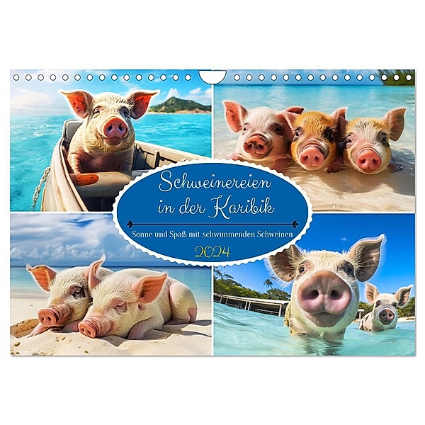 Schweinereien in der Karibik. Sonne und Spaß mit schwimmenden Schweinen (Wandkalender 2024 DIN A4 quer), CALVENDO Monatskalender, Calvendo, Rose Hurley