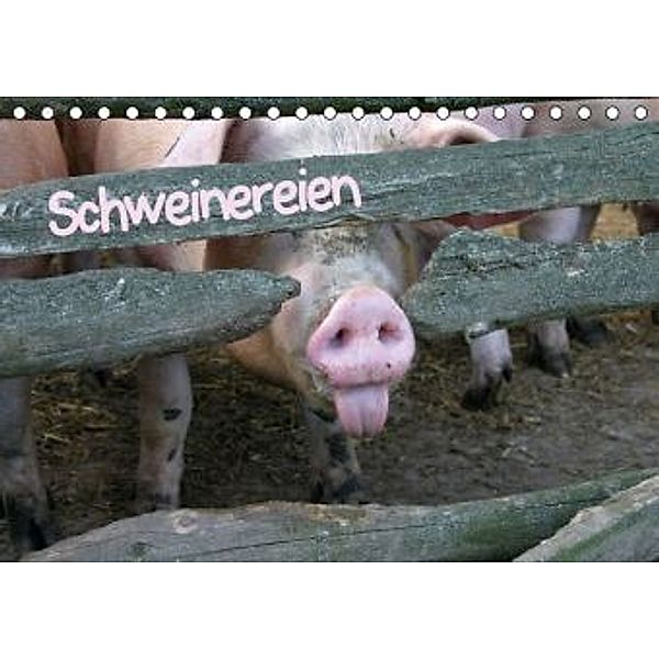 Schweinereien (Tischkalender 2016 DIN A5 quer), Martina Berg