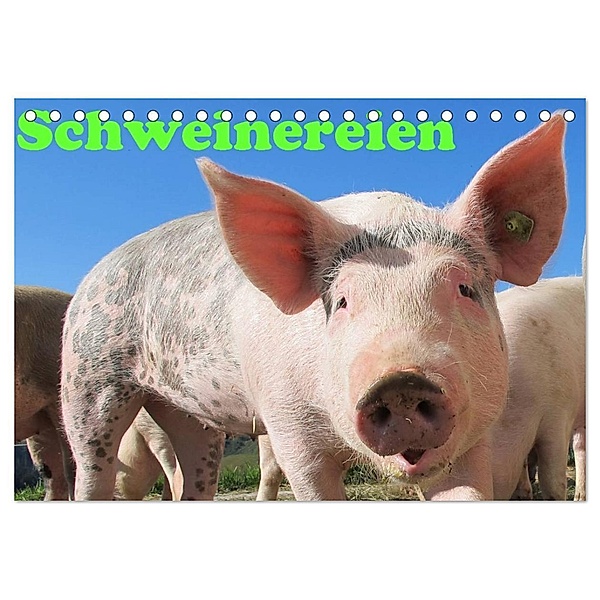 Schweinereien (Tischkalender 2024 DIN A5 quer), CALVENDO Monatskalender, Jan Wolf