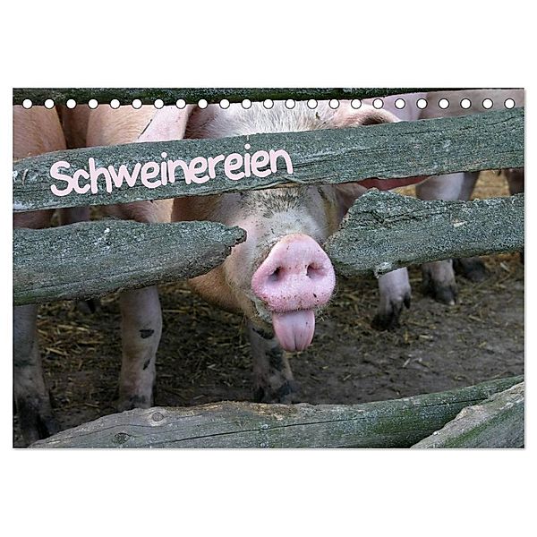 Schweinereien (Tischkalender 2024 DIN A5 quer), CALVENDO Monatskalender, Martina Berg