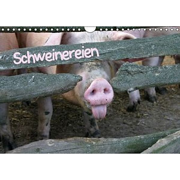 Schweinereien (Wandkalender 2016 DIN A4 quer), Martina Berg