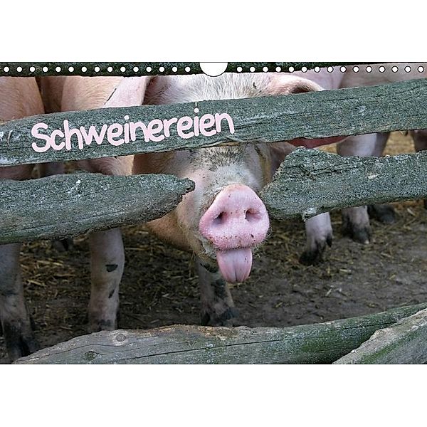 Schweinereien (Wandkalender 2017 DIN A4 quer), Martina Berg