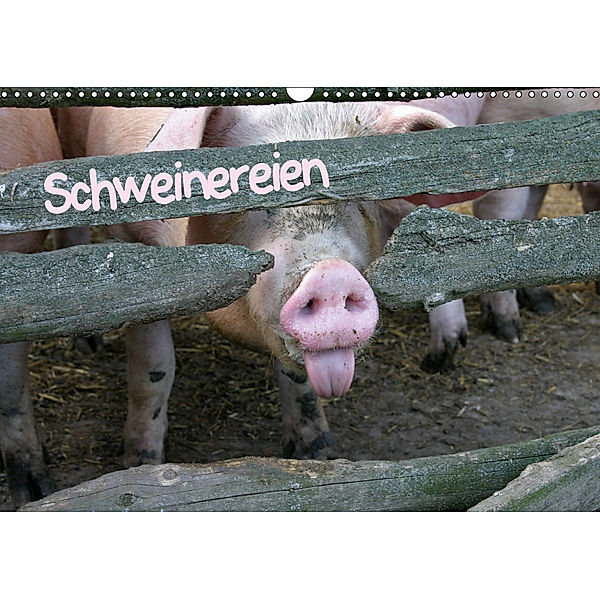 Schweinereien (Wandkalender 2019 DIN A3 quer), Martina Berg