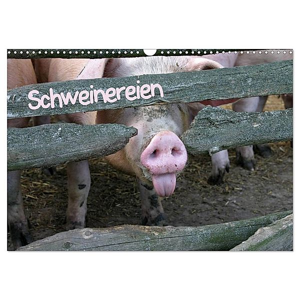 Schweinereien (Wandkalender 2024 DIN A3 quer), CALVENDO Monatskalender, Martina Berg