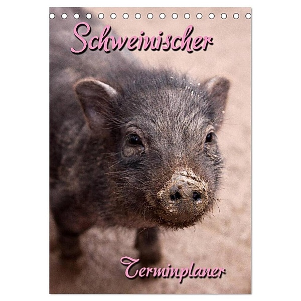 Schweinischer Terminplaner (Tischkalender 2024 DIN A5 hoch), CALVENDO Monatskalender, Martina Berg