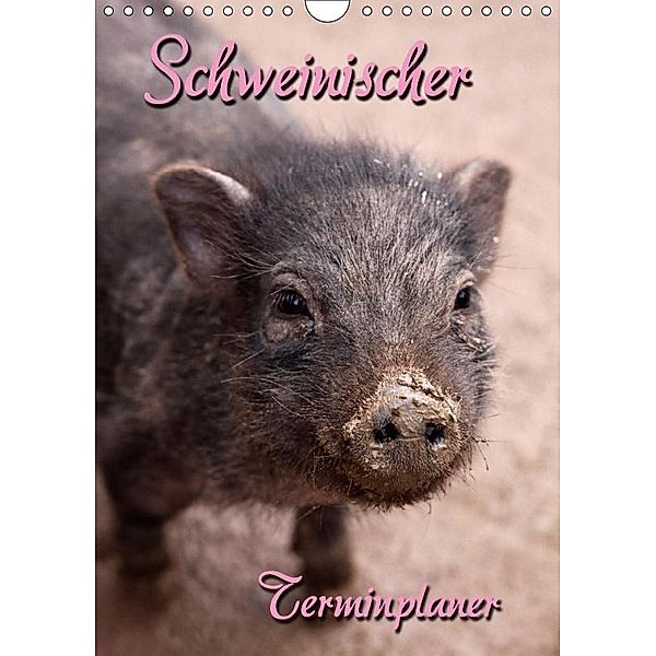 Schweinischer Terminplaner (Wandkalender 2017 DIN A4 hoch), Martina Berg