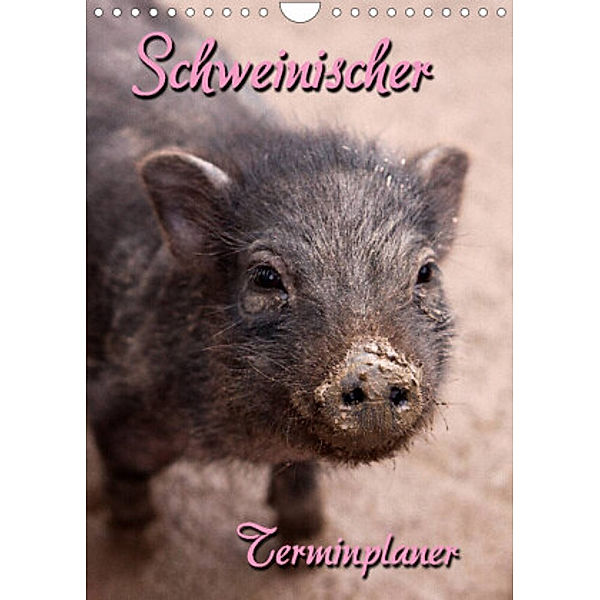 Schweinischer Terminplaner (Wandkalender 2022 DIN A4 hoch), Martina Berg